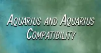 Aquarius and Aquarius Compatibility