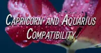 Capricorn and Aquarius Compatibility