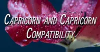 Capricorn and Capricorn Compatibility