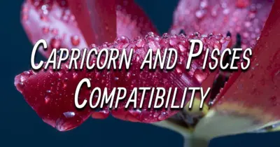 Capricorn and Pisces Compatibility