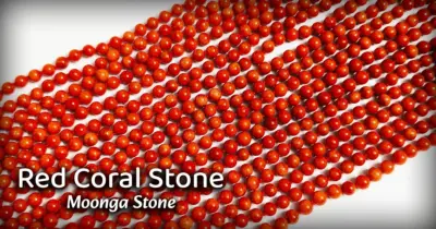 Red Coral Stone - Moonga Stone