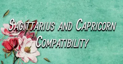 Sagittarius and Capricorn Compatibility