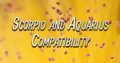 Scorpio and Aquarius Compatibility