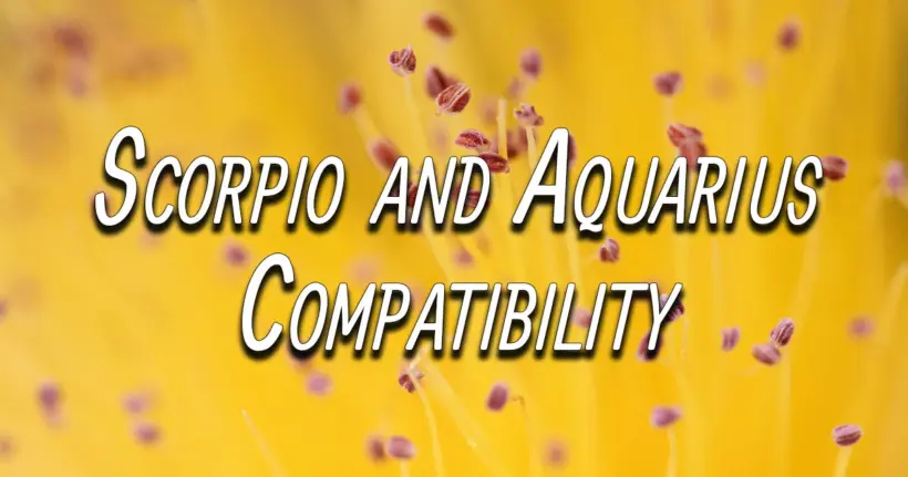 Scorpio and Aquarius Compatibility