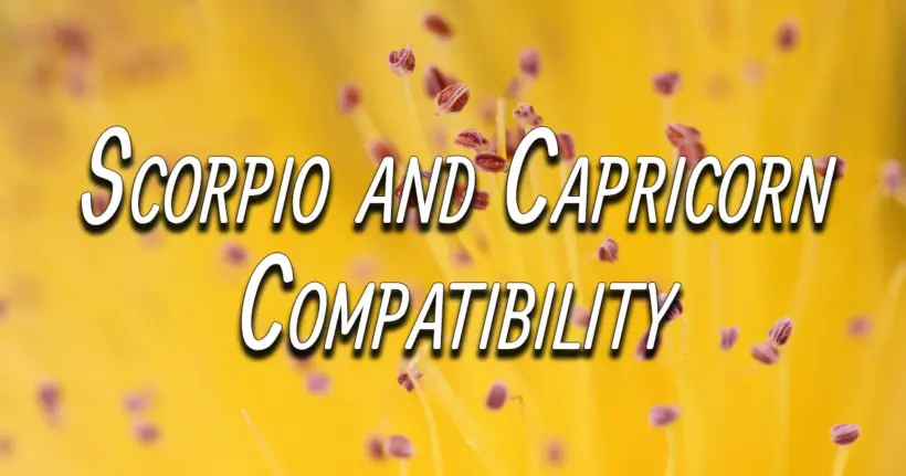 Scorpio and Capricorn Compatibility