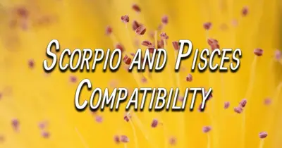 Scorpio and Pisces Compatibility