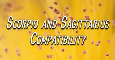 Scorpio and Sagittarius Compatibility