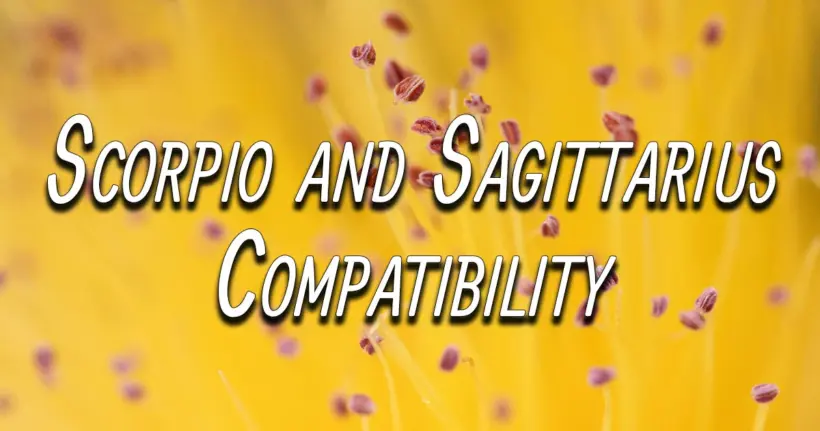 Scorpio and Sagittarius Compatibility